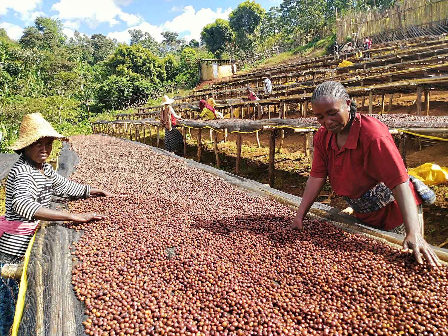 Stories About Local Producers: Celebrating the Heart Behind Your Coffee